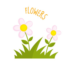 Flowers vector illustration