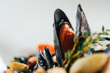 close-up view of spaghetti with cuttlefish ink, squid and mussels with octopus