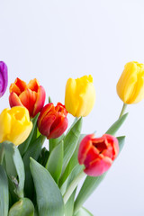 Bouquet of bright spring flowers