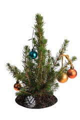 Little Christmas tree with toys.