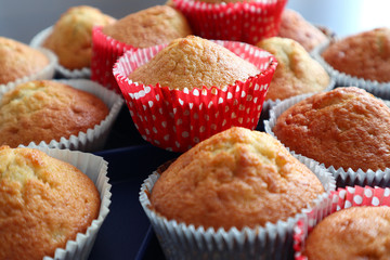 Bananenmuffins