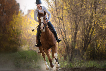 Fototapeta premium Young pretty girl - riding a horse with backlit leaves behind