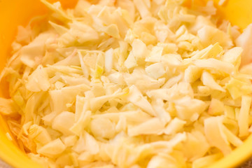 cabbage and cutted cabbage on wooden