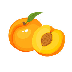 Bright vector set of colorful juicy peach isolated on white.