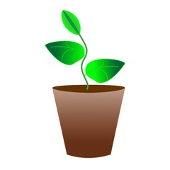 flowerpot, decoration and houseplant icon