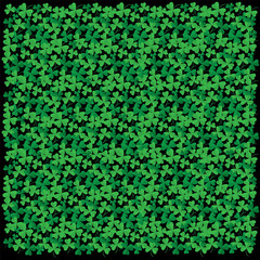 Shamrock on black background Vector