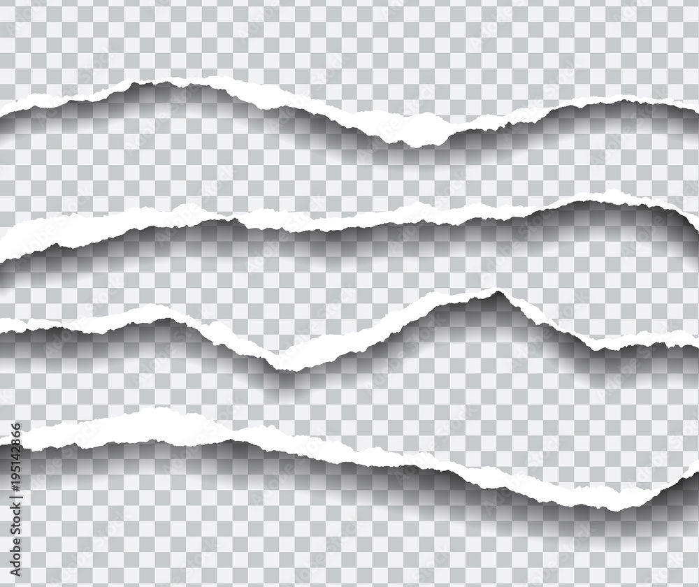 Poster horizontally torn edges of paper, isolated vector on a transparent background