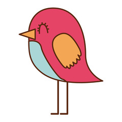 cartoon cute bird adorable animal