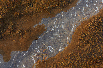 Ice formed on the puddle textures