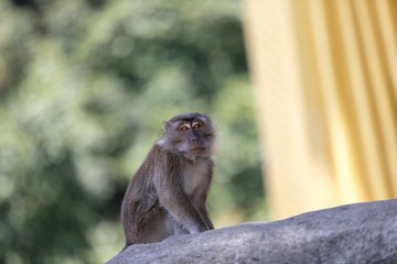 Kuala Lumpur