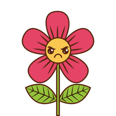 beautiful flower angry kawaii cartoon