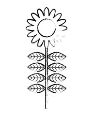 pink flower leave decoration natural icon