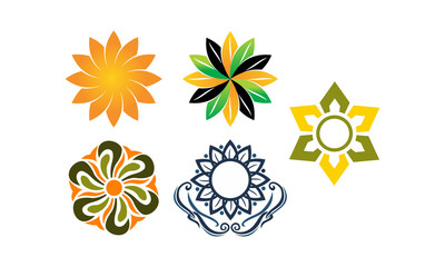 Wealth Management Sun Flower Set