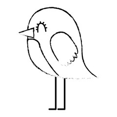 cartoon cute bird adorable animal