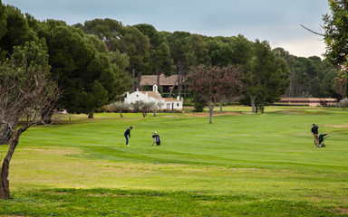 Campo de Golf