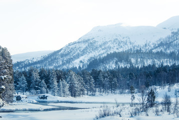Beautiful frozen river with a trees on a bank. White winter landscape of central Norway. Light scenery.