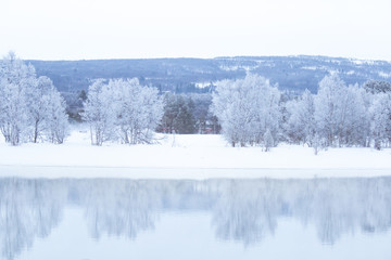 Beautiful frozen river with a trees on a bank. White winter landscape of central Norway. Light scenery.