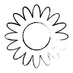 pink flower decoration ornament natural