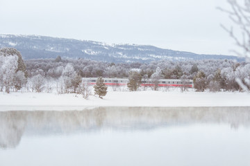 Beautiful frozen river with a trees on a bank. White winter landscape of central Norway. Light scenery.