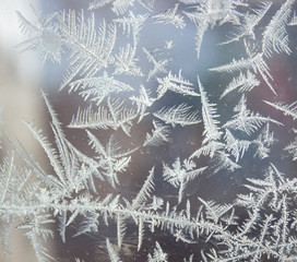 Detail of frost on a needle-shaped window..