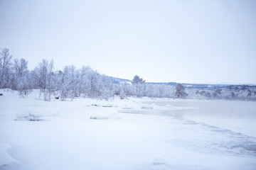 Beautiful frozen river with a trees on a bank. White winter landscape of central Norway. Light scenery.