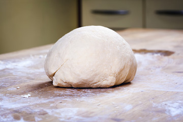 fresh dough ready for baking