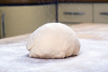 fresh dough ready for baking