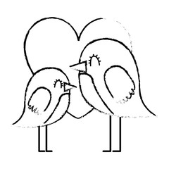 beauty birds lovely heart love decoration