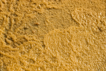 A yellow textured background of a dense pork lard.