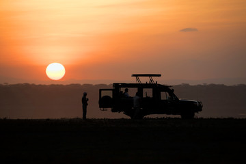 Fototapeta premium Backlight sunset African landscape while in safari