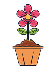flower in pot decoration interior ornament
