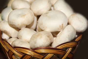 mushroom, champignon, mushrooms, food, farm, white, natural, organic, background, healthy, ingredient, vegetarian, fungus, raw, harvest, nature, fresh, health, nutrition, gourmet, brown, cook, isolate