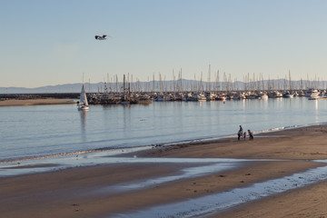 Santa Barbara Marina in the Evening sun