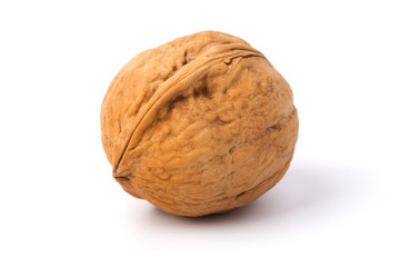 Single Walnut
