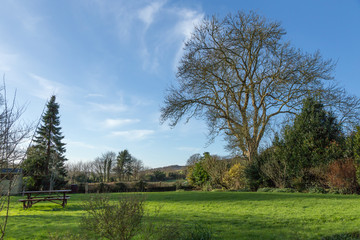 Fototapeta na wymiar English country garden in Sussex