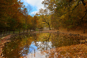 Autumn in nature