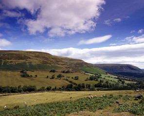 Fototapeta na wymiar UK, Wales, Brecon Beacons, Black Mountains landscape