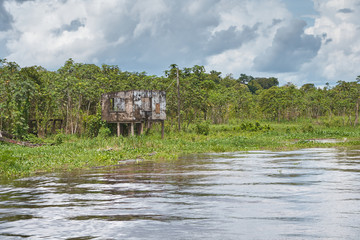 Abandoned hut along Amazon River