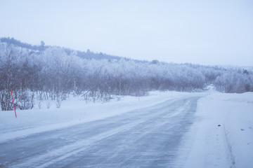 A beautiful white road through the forest in central Norway with safety poles. Beautiful winter landscape in Scandinavia.