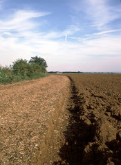 Fototapeta na wymiar Furrow in ploughed field