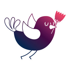 bouquet delicate tulips flowers wrap ribbon bow decoration