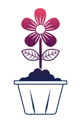 flower in pot decoration interior ornament