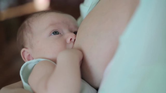 

The baby eats 1 / A two-month-old child eats her breast at her mother's hands