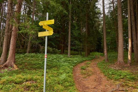 Pole with yellow arrow shaped direction signs at the bottom of a hiking track in the Austrian Alps near Faaker See