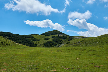 Fototapeta premium Freshly green valley covered in soft green vegetation with a sharp edge to the clear blue sky with white clouds