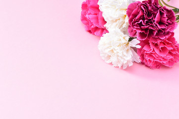 May Mother's Day Carnation Bunch of Flowers Bouquet Top View, Blank for Text,   Pink