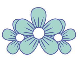 three flowers decoration nature romantic