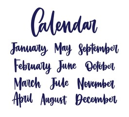 Collection of names of months handwritten with elegant calligraphic cursive font isolated on white background. Beautiful lettering, written words, design elements. Vector illustration for calendar.