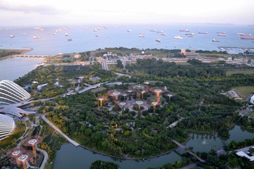 Fototapeta premium Cloud Forest, Singapore