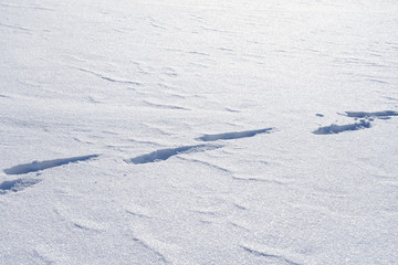 Footprints in the snow.